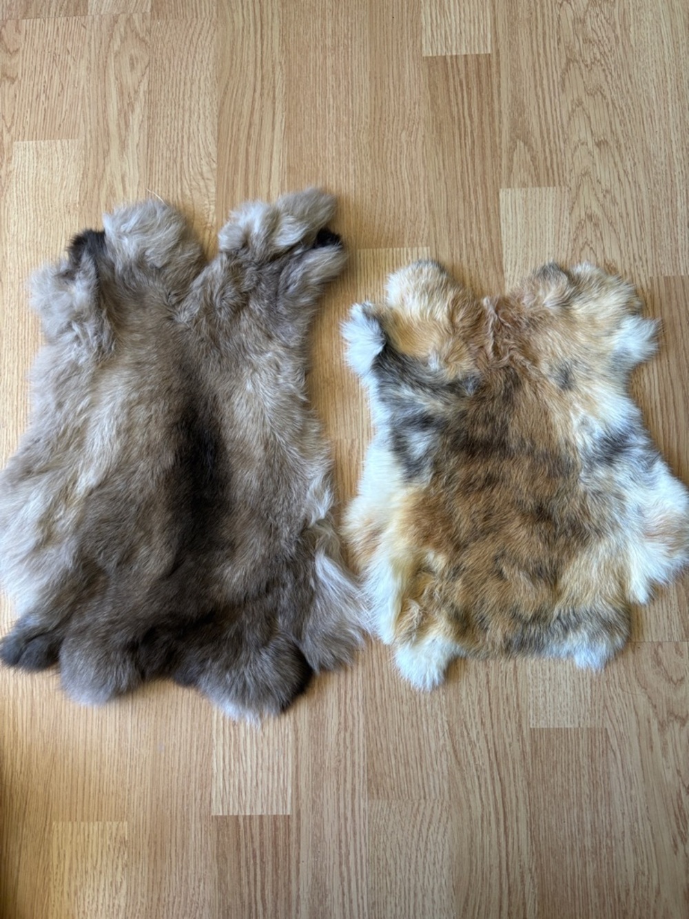 B0015 pair rabbit pelts
